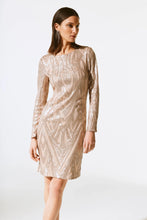 Load image into Gallery viewer, Joseph Ribkoff - Dress -  243774