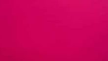 Load image into Gallery viewer, Frank Lyman  –  Top - 243252 - 2 Colours